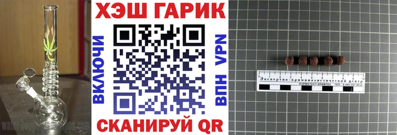 ГАШ Изолятор  Купить закладки  Мичуринск 