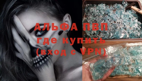 мяу мяу мука Баксан