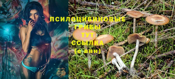 тгк Балабаново