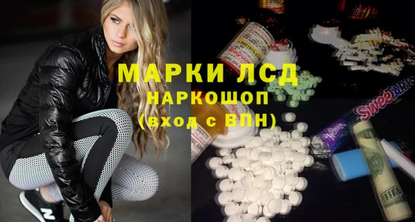мяу мяу мука Баксан